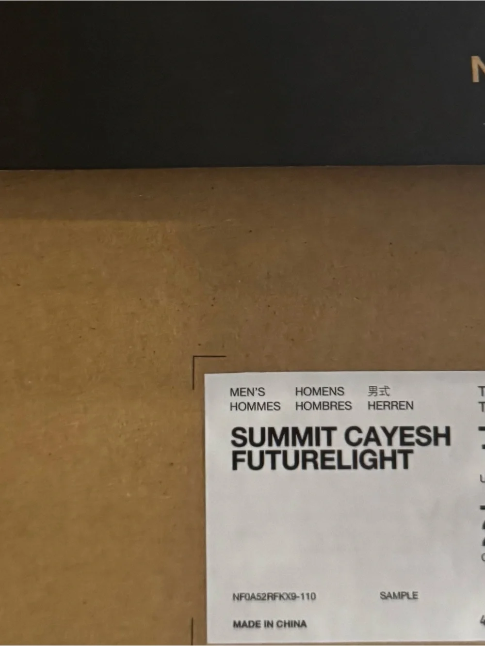 The North Face Summit Series Cayesh FUTURELIGHT boots